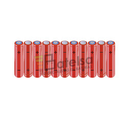 Batera AAA 13.2 Voltios 800 mAh NI-MH BT13801974