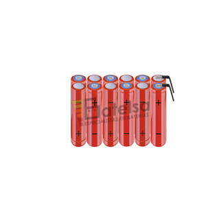 Batera AAA 14.4 Voltios 800 mAh NI-MH BT13801665