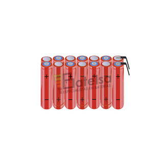 Batera AAA 16.8 Voltios 800 mAh NI-MH BT13801667