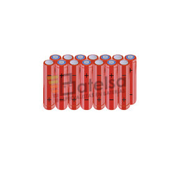 Batera AAA 16.8 Voltios 800 mAh NI-MH BT13801864