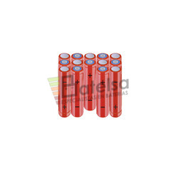 Batera AAA 16.8 Voltios 800 mAh NI-MH BT13801868