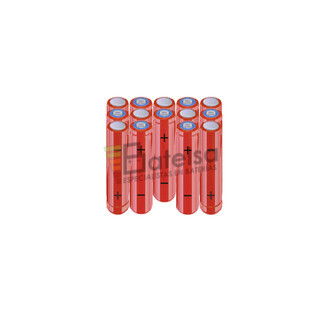 Batera AAA 16.8 Voltios 800 mAh NI-MH BT13801868