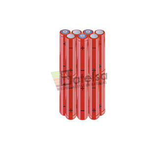 Batera AAA 16.8 Voltios 800 mAh NI-MH BT13801934