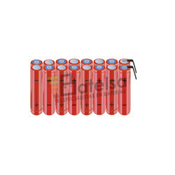 Batera AAA 19.2 Voltios 800 mAh NI-MH BT13801669