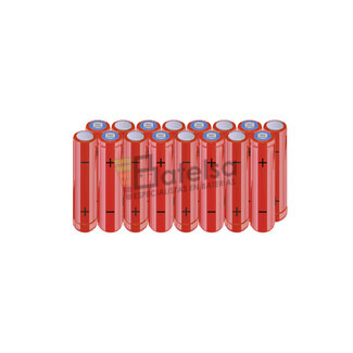 Batera AAA 19.2 Voltios 800 mAh NI-MH BT13801870