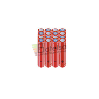 Batera AAA 19.2 Voltios 800 mAh NI-MH BT13801872