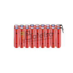 Batera AAA 21.6 Voltios 800 mAh NI-MH BT13801671