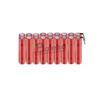 Batera AAA 21.6 Voltios 800 mAh NI-MH BT13801671