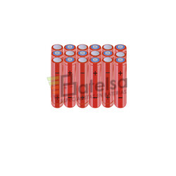 Batera AAA 21.6 Voltios 800 mAh NI-MH BT13801876