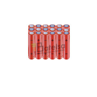 Batera AAA 21.6 Voltios 800 mAh NI-MH BT13801876