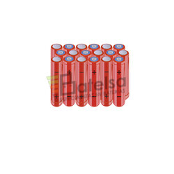 Batera AAA 21.6 Voltios 800 mAh NI-MH BT13801878