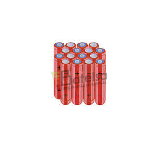 Batera AAA 24 Voltios 800 mAh NI-MH BT13801828