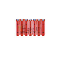 Batera AAA 8.4 Voltios 800 mAh NI-MH BT13801956