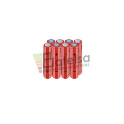 Batera AAA 9.6 Voltios 800 mAh NI-MH BT13801848