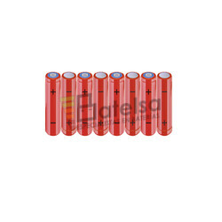 Batera AAA 9.6 Voltios 800 mAh NI-MH BT13801960