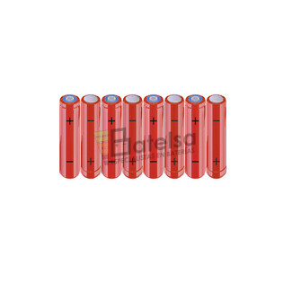 Batera AAA 9.6 Voltios 800 mAh NI-MH BT13801960