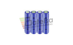 Batera AA 4.8 Voltios 2.000 mAh NI-MH BT13801410