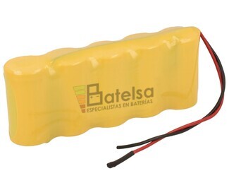 Packs de baterias recargables 6 Voltios 2000 mAh NI-CD