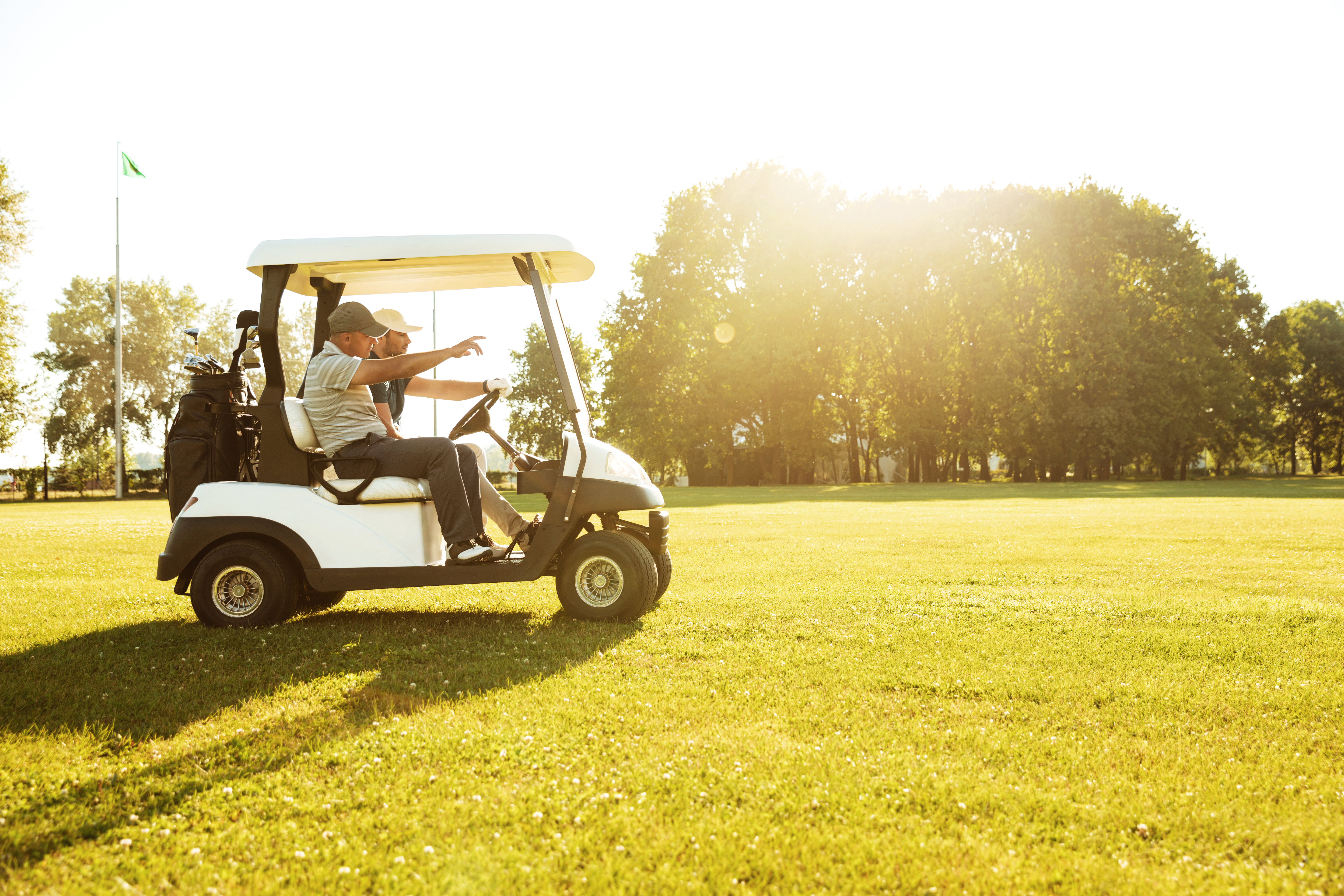 Bateras para Carritos de Golf