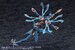 Model Kit Arcanadea XenoAlma Hydro Zeeforce