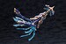 Model Kit Arcanadea XenoAlma Trickle Dekapodia 21 cm