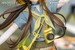 Figura Arknights Gift+ 1-8 Amiya Wildlight Wander Ver. 22 cm