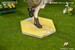 Figura Arknights Gift+ 1-8 Amiya Wildlight Wander Ver. 22 cm