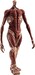 Estatua Attack on Titan Pop Up Parade Armin Arlert: Colossus Titan Ver. L Size 26 cm