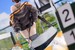 Estatua Azur Lane 1-6 Baltimore Black Ace Ver. 30 cm