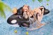 Estatua Azur Lane PVC 1-7 Anchorage Dolphins and Swim Lessons Ver. 13 cm