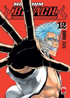 Bleach 12 (ED.MAXIMUM)