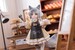 Estatua Decorated Life Collection Tea Time Cats - Cat Town Bakery Staff & Customer Set 12 cm