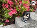 Estatua Demon Slayer Kimetsu no Yaiba Look Up Iguro Obanai 11 cm