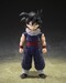 Figura Dragon Ball Z S.H.Figuarts Son Gohan (Z-Fighters) (Limited Edition Z-Fighters Group Base Ver. A) 11 cm