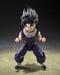 Figura Dragon Ball Z S.H.Figuarts Son Gohan (Z-Fighters) (Limited Edition Z-Fighters Group Base Ver. A) 11 cm