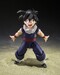 Figura Dragon Ball Z S.H.Figuarts Son Gohan (Z-Fighters) (Limited Edition Z-Fighters Group Base Ver. A) 11 cm