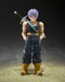 Figura Dragon Ball Z S.H.Figuarts Trunks <Z-Fighters> Group Base Ver.B Limited Edition 14 cm