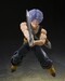 Figura Dragon Ball Z S.H.Figuarts Trunks <Z-Fighters> Group Base Ver.B Limited Edition 14 cm