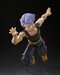 Figura Dragon Ball Z S.H.Figuarts Trunks <Z-Fighters> Group Base Ver.B Limited Edition 14 cm