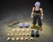 Figura Dragon Ball Z S.H.Figuarts Trunks <Z-Fighters> Group Base Ver.B Limited Edition 14 cm