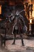 Figura Elden Ring Figma Raging Wolf 16 cm