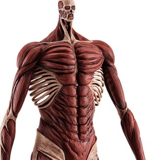 Estatua Attack on Titan Pop Up Parade Armin Arlert: Colossus Titan Ver. L Size 26 cm