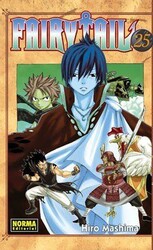 Fairy Tail 25