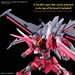 Figura HG Gundam Infinite Justice Type II ZGMF-X191M2 1-144