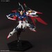 Figura Gundam Destiny ZGMF-X42S 1-144