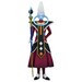 Figura Ichibansho Whis Battle Of Gods Dragon Ball 25 cm