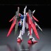 Figura RG ZGMF-X42S Destiny Gundam 1-144