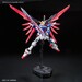 Figura RG ZGMF-X42S Destiny Gundam 1-144