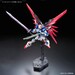 Figura RG ZGMF-X42S Destiny Gundam 1-144