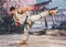 Figura Street Fighter S.H. Figuarts Ryu (Outfit 2) 15 cm